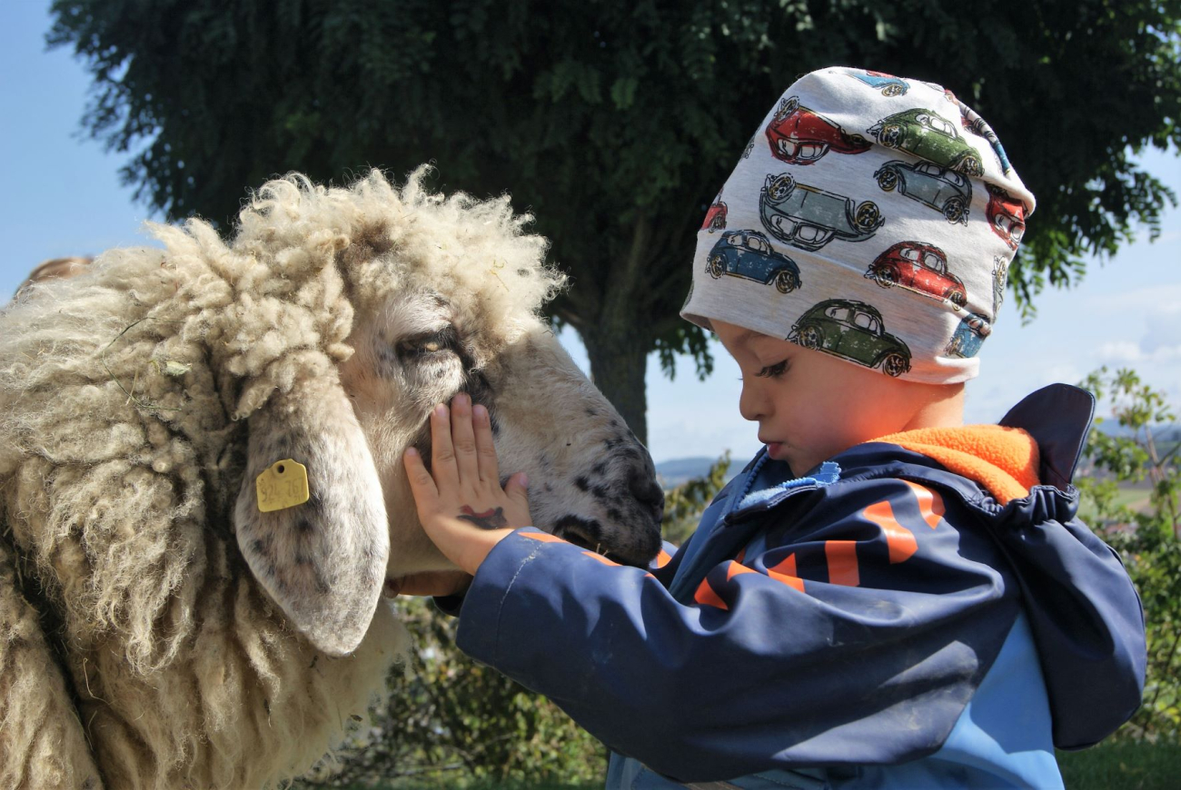 Kindergarten Linzerberg, Kinder lieben den Streichelzoo neben dem Kindergarten Linzerberg