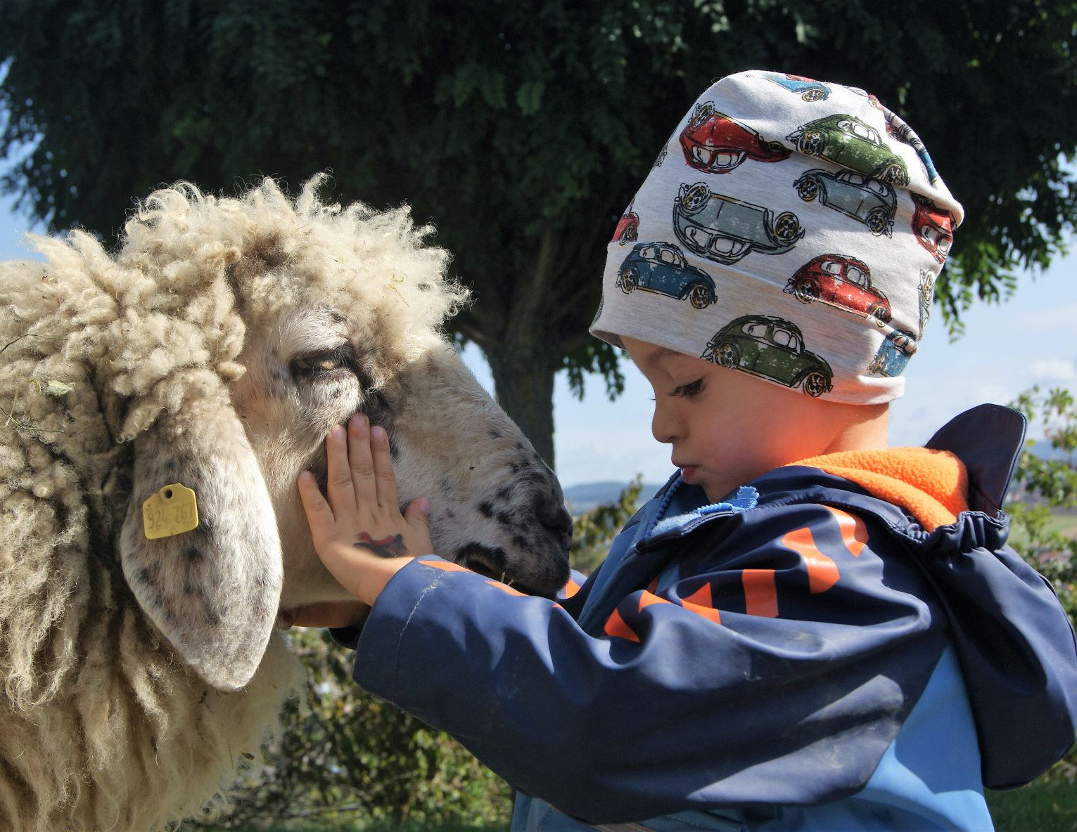Kindergarten Linzerberg, Kinder lieben den Streichelzoo neben dem Kindergarten Linzerberg