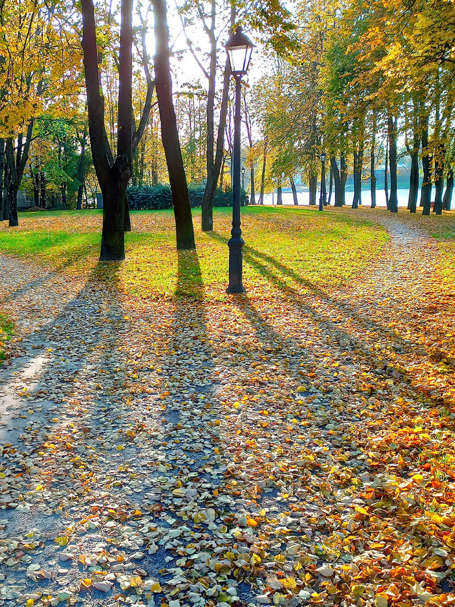 Eie Weggabellung im Herbst.