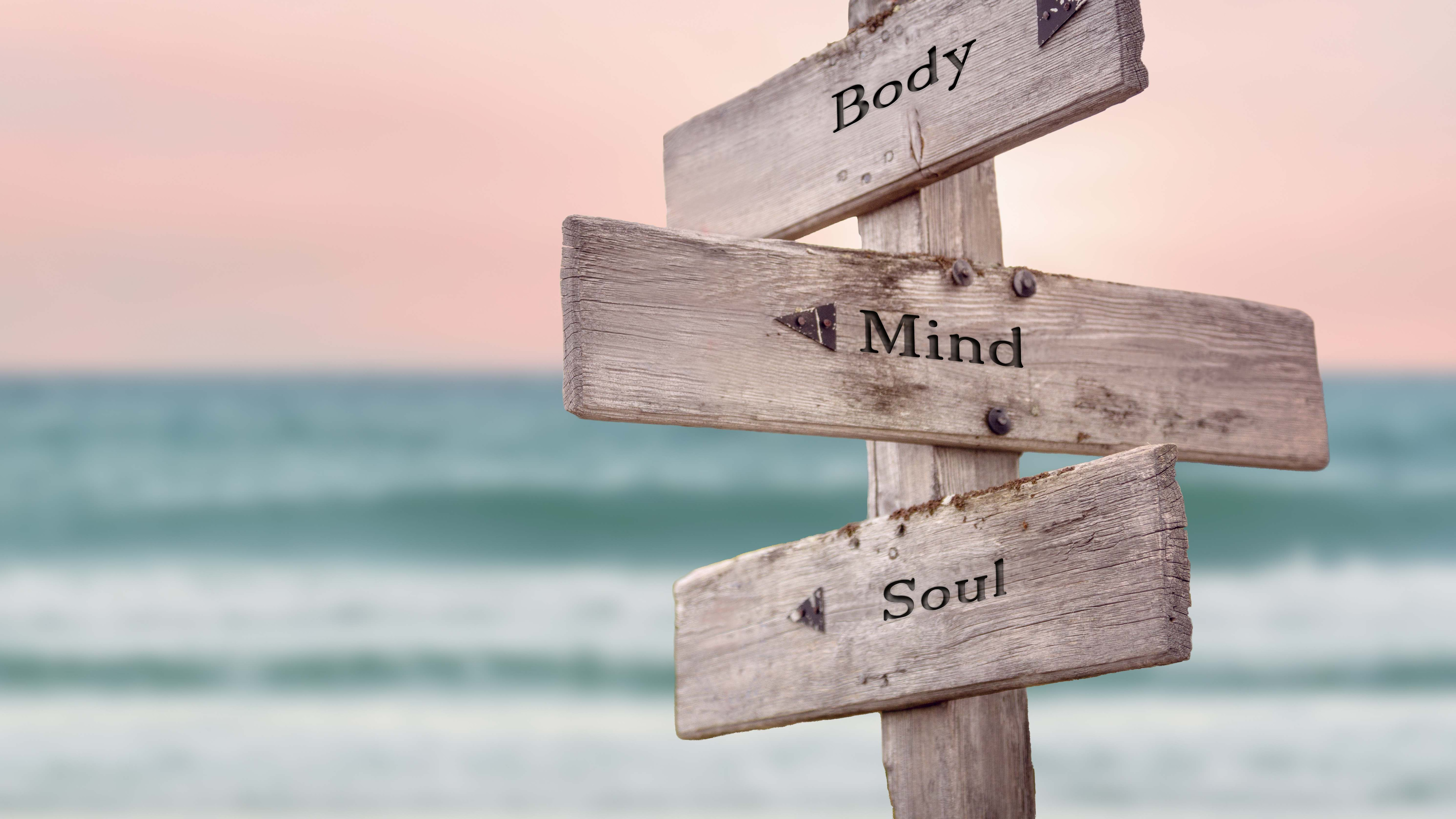 Body - Mind - Soul