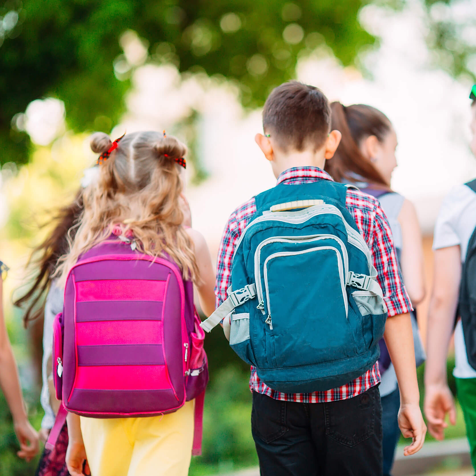 Mehrere Kinder mit Schultaschen, von hinten