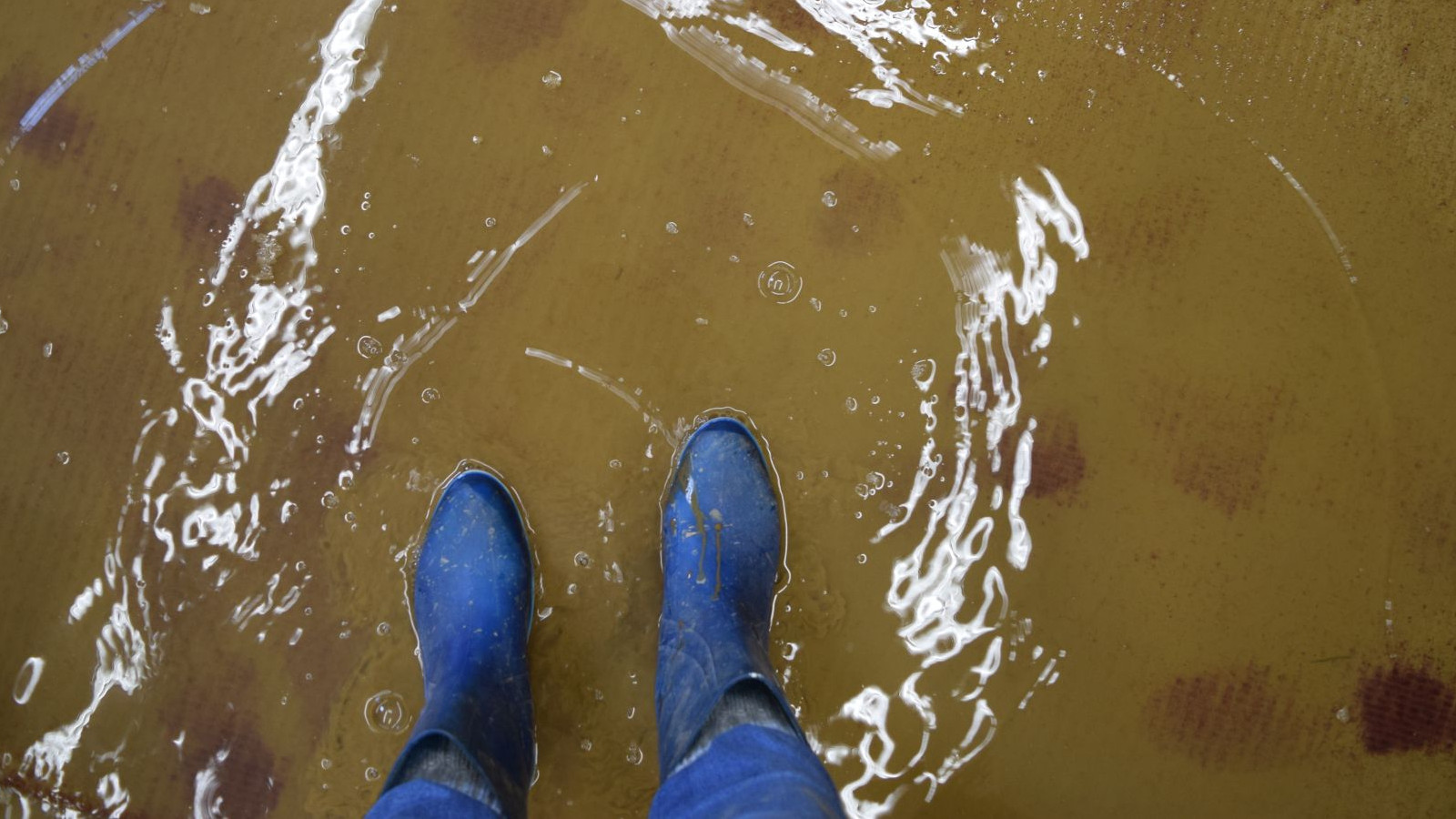 Eine Person steht mit blauen Stiefeln auf einem überfluteten Teppichboden im Wasser.