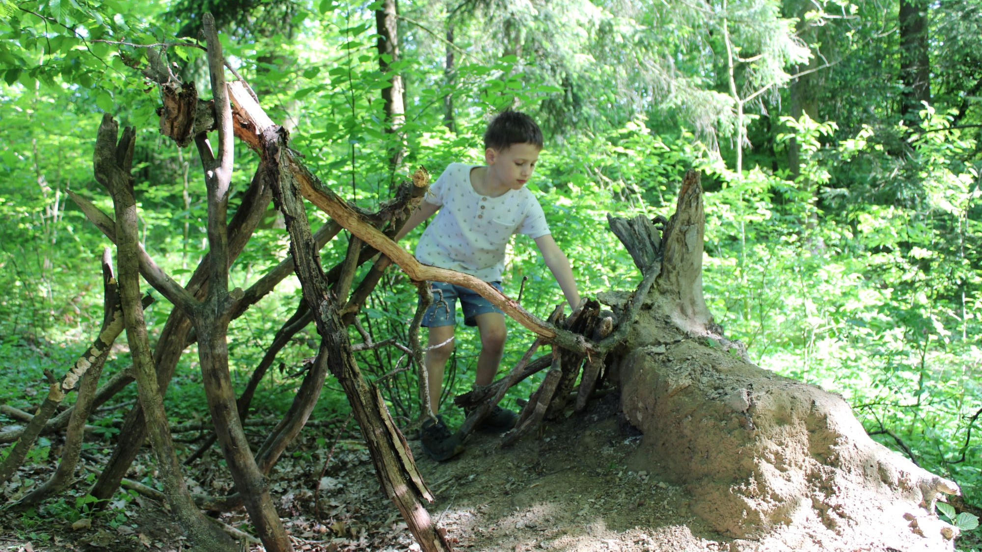 Kind spielt im Wald mit den Ästen eines Baumes