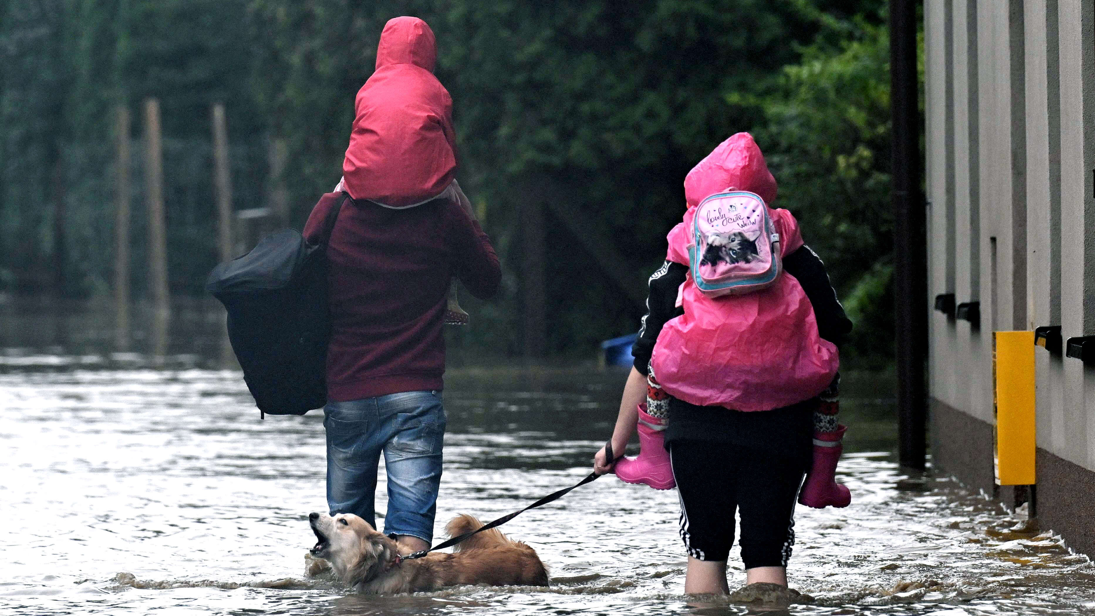 Frau und Mann waten durch das kniehohe Wasser. Sie tragen ihre Kinder auf dem Rücken und haben einen Hund bei sich.