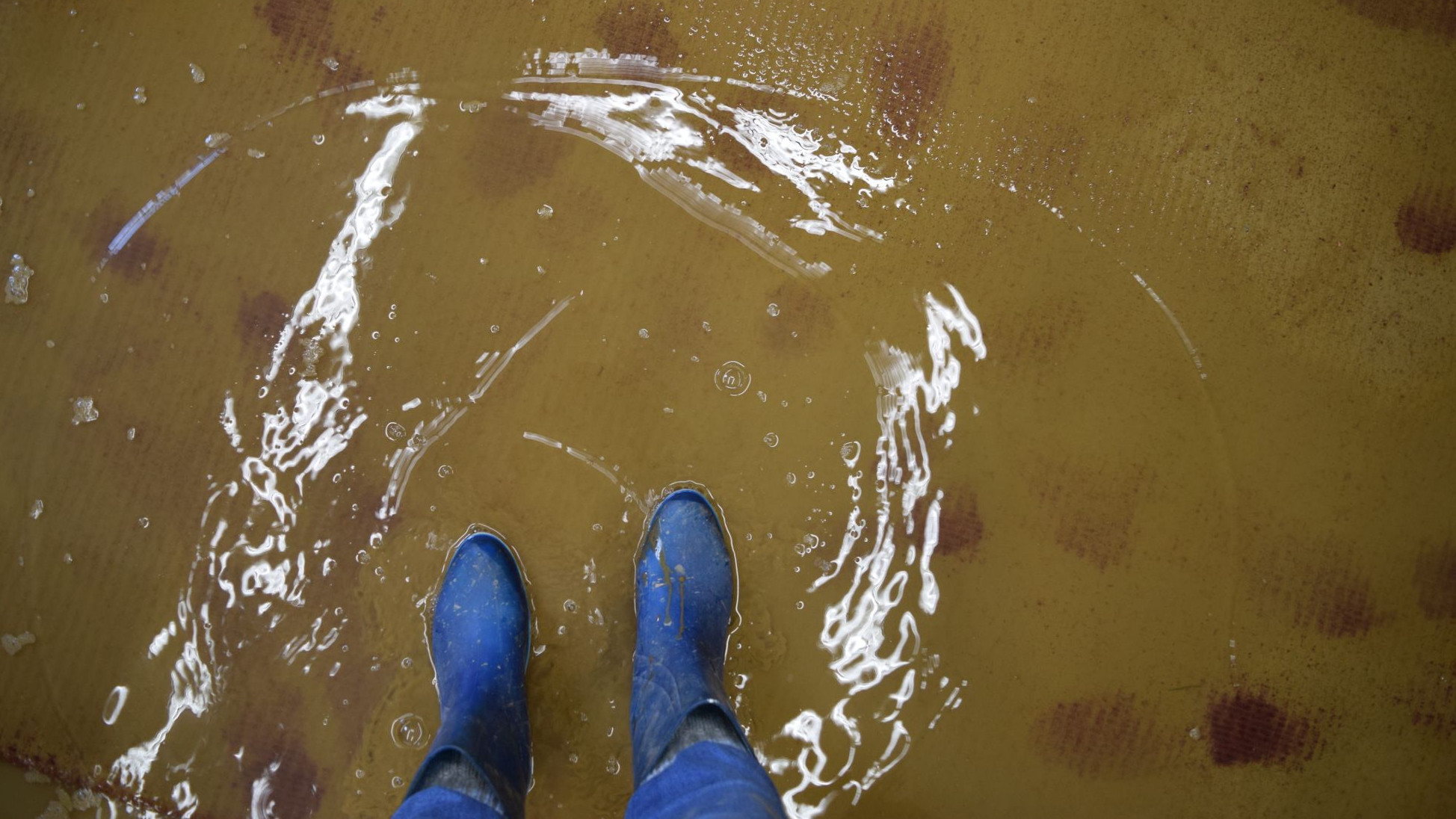 Eine Person steht mit blauen Stiefeln auf einem überfluteten Teppichboden im Wasser.