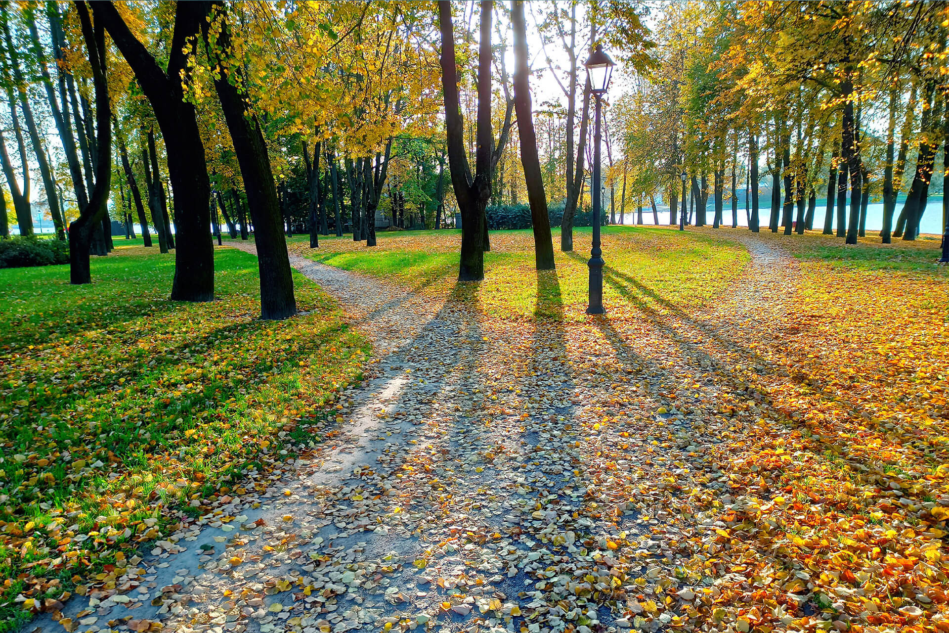 Eie Weggabellung im Herbst.