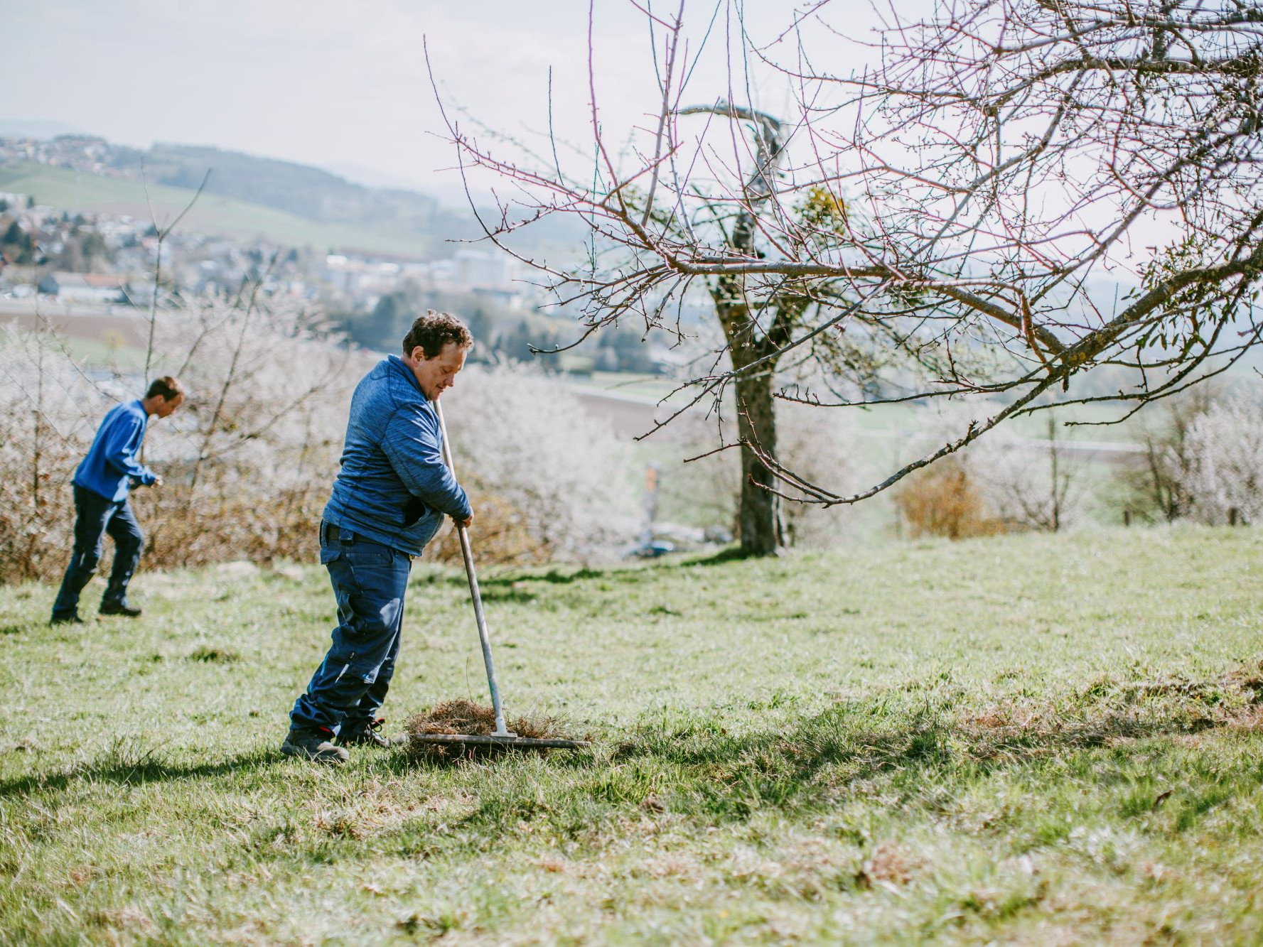 Zwei Männer bearbeiten den Wiesenboden