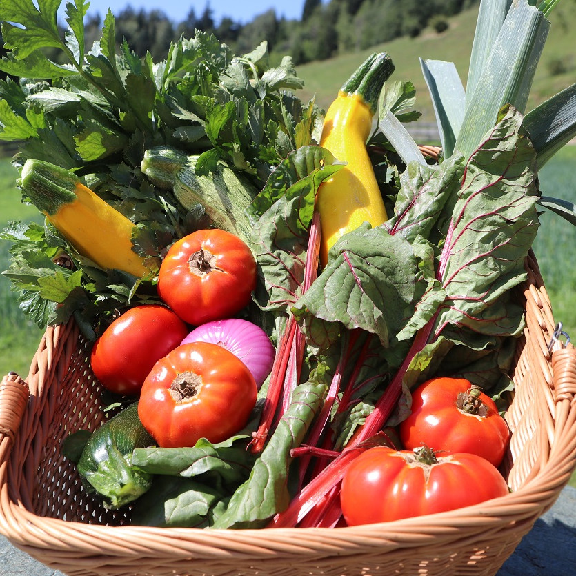Korb mit frischem Gemüse – Tomaten, Zucchini, Mangold